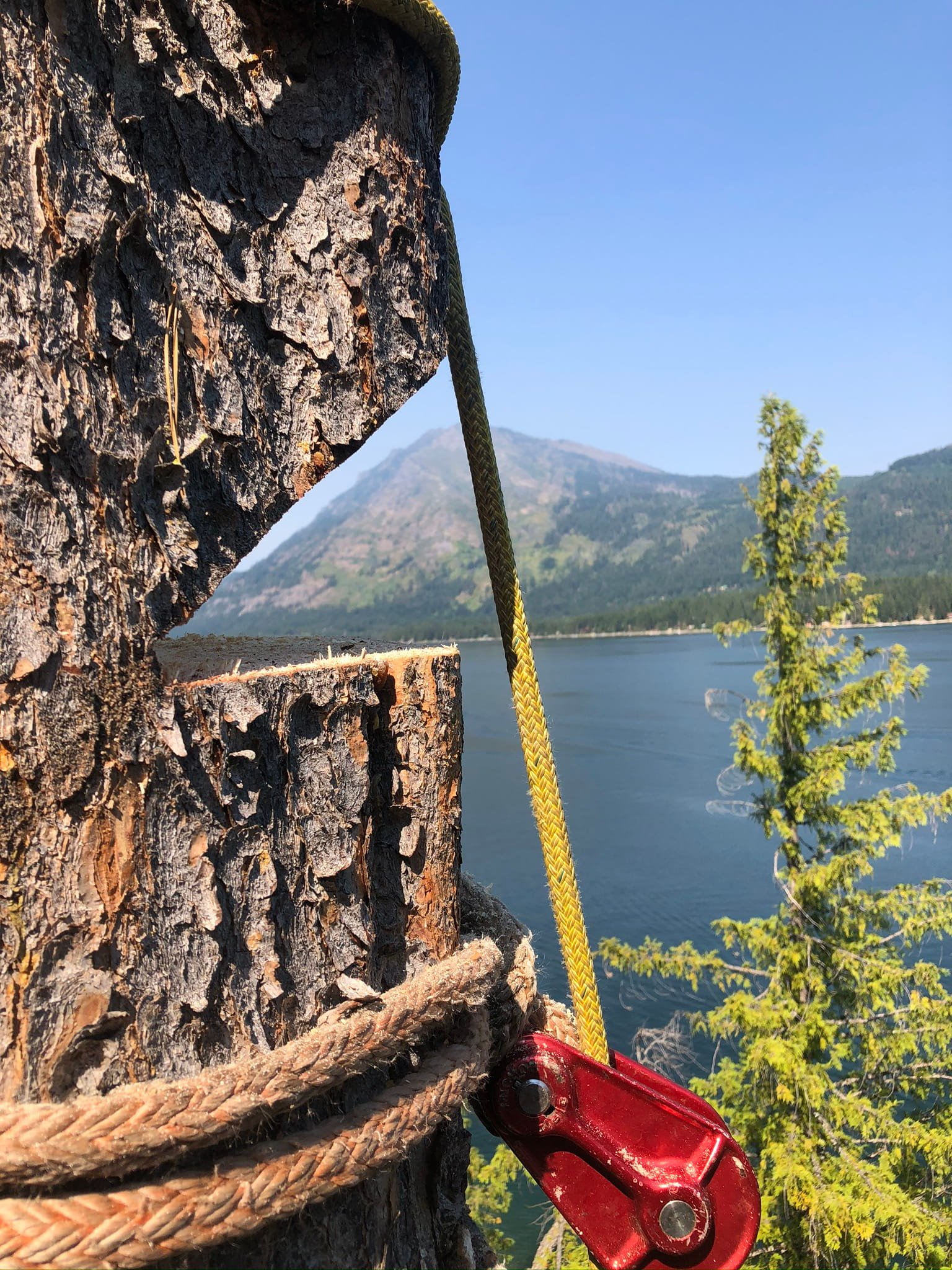 Technical tree rigging and rope work during a precision tree removal above a mountain lake — expert tree service in Cody and Powell, WY