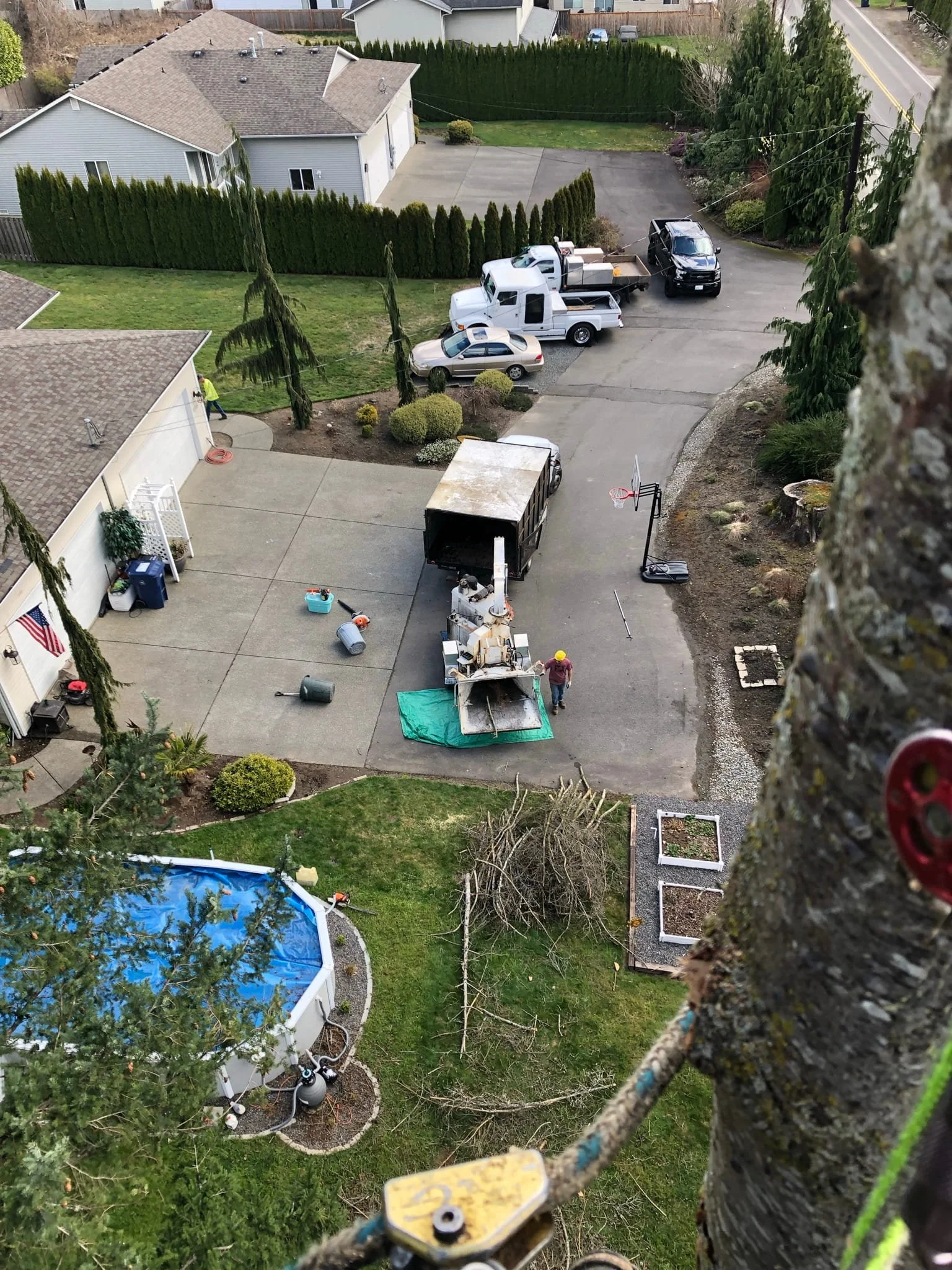 Aerial view of professional tree removal crew and wood chipper operating in a residential driveway — full-service tree removal and site cleanup in Cody and Powell, WY
