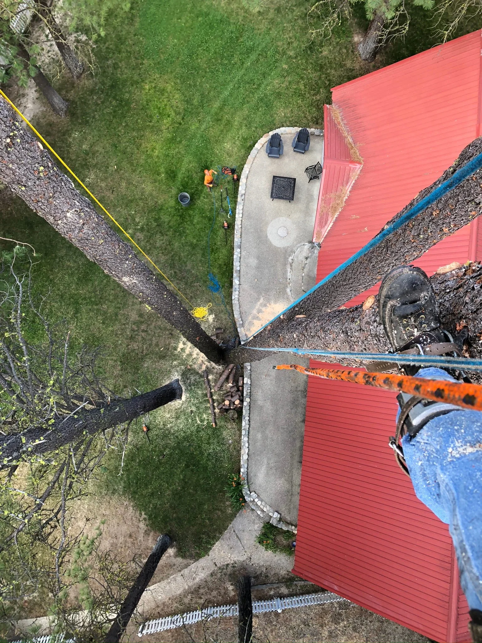 Lot clearing and tree removal in progress near a structure — professional land clearing services in Cody and Powell, WY