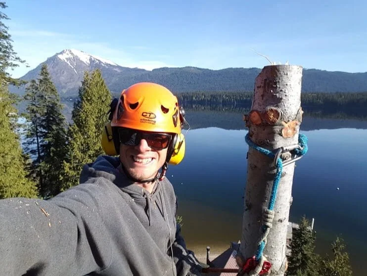 ISA Certified Arborist at the top of a technical tree removal with full safety gear — professional tree climbing and removal services in Cody and Powell, WY