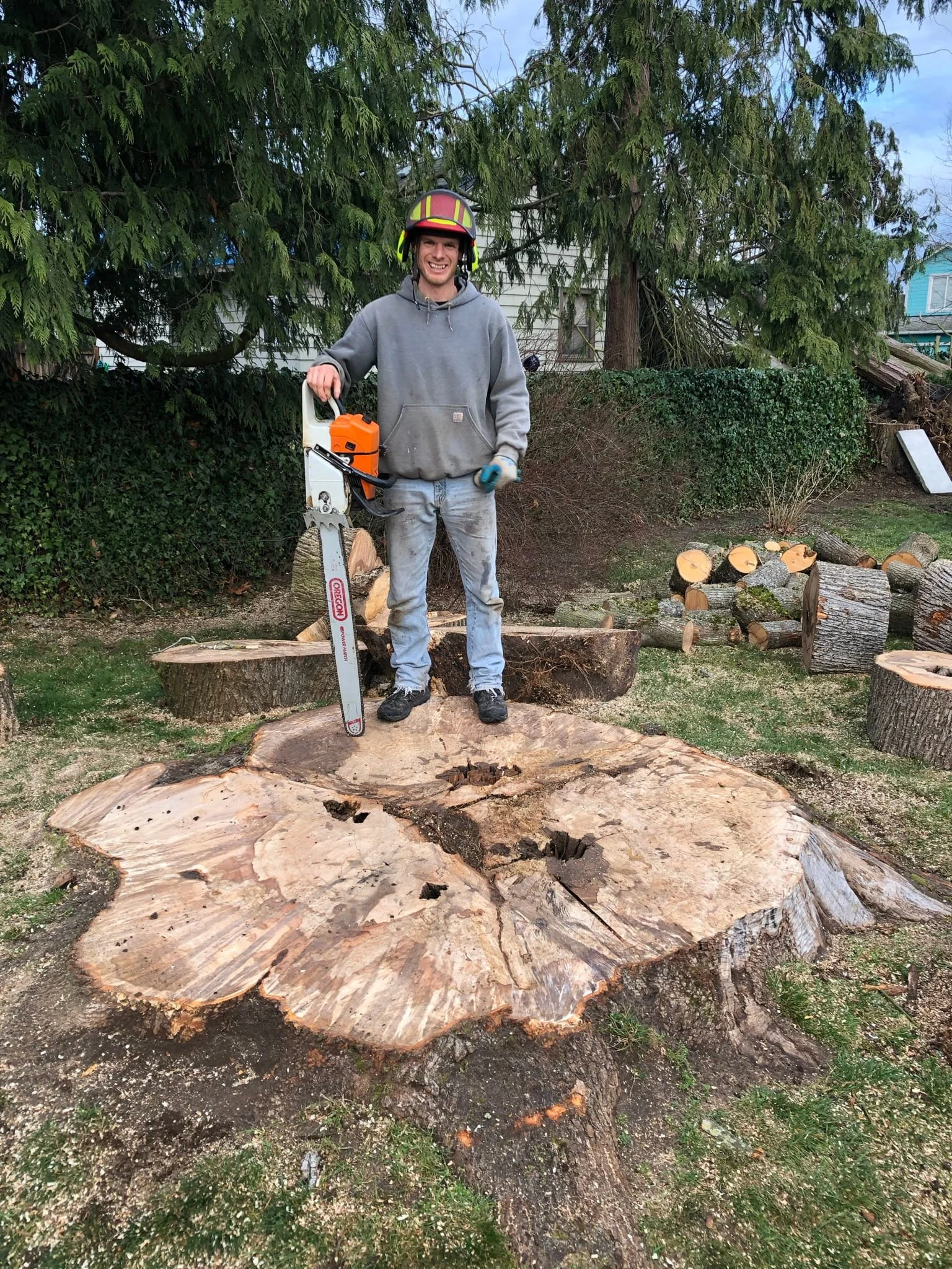 Professional tree removal completed — large tree stump after safe removal by ISA Certified Arborist serving Cody and Powell, WY