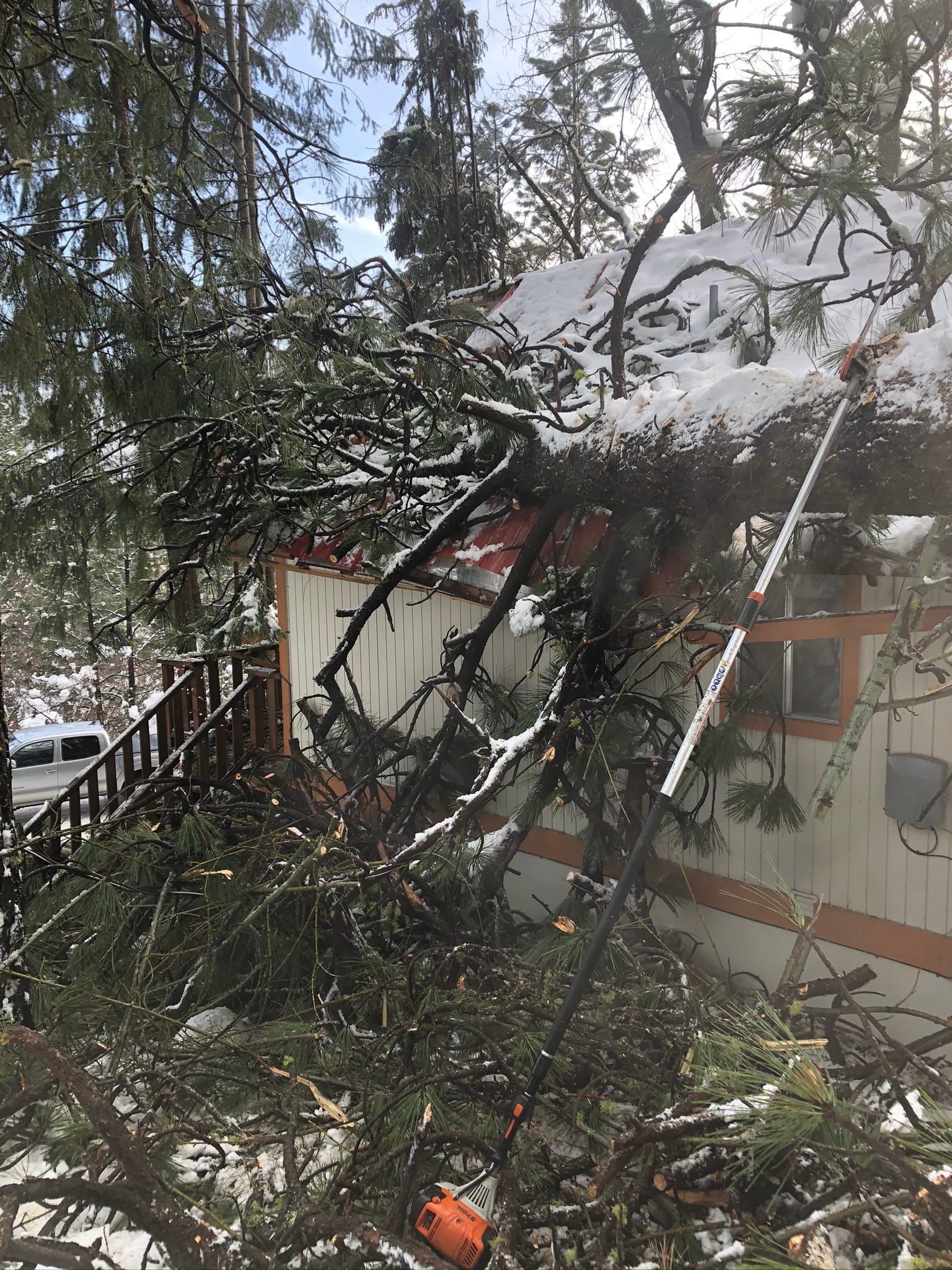 Large conifer fallen onto a residential structure after a winter storm — emergency tree removal services in Cody and Powell, WY