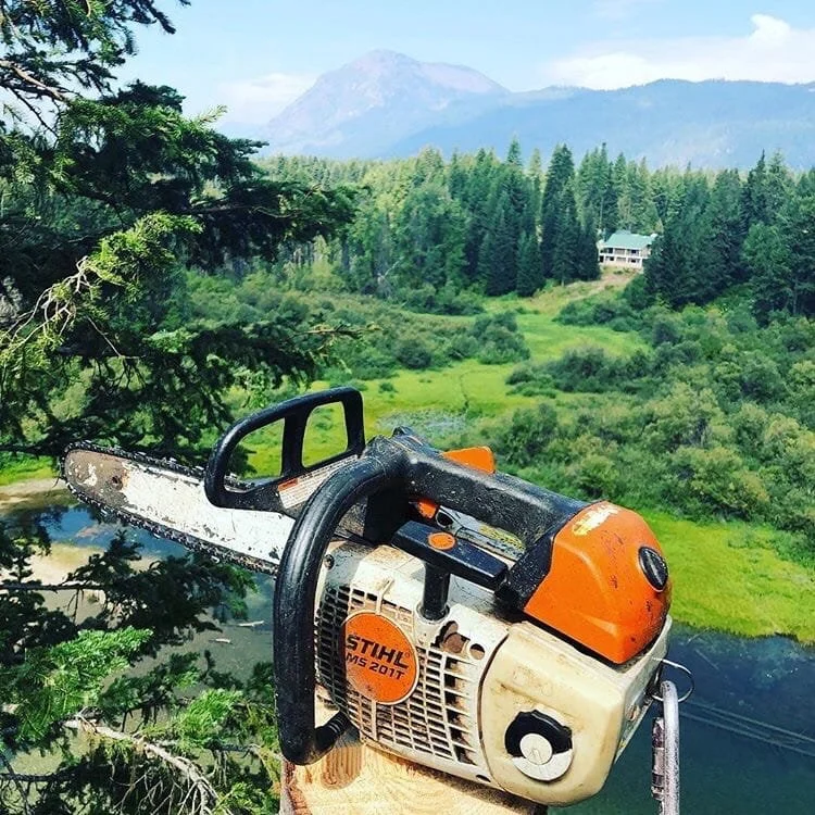 Professional chainsaw in use during a tree removal above a mountain river valley — expert tree service in Cody and Powell, WY