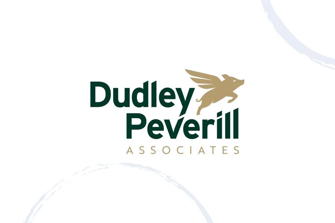 Dudley Peverill Associates LLP:  Strategic Board Advisor / Fractional Operational Director