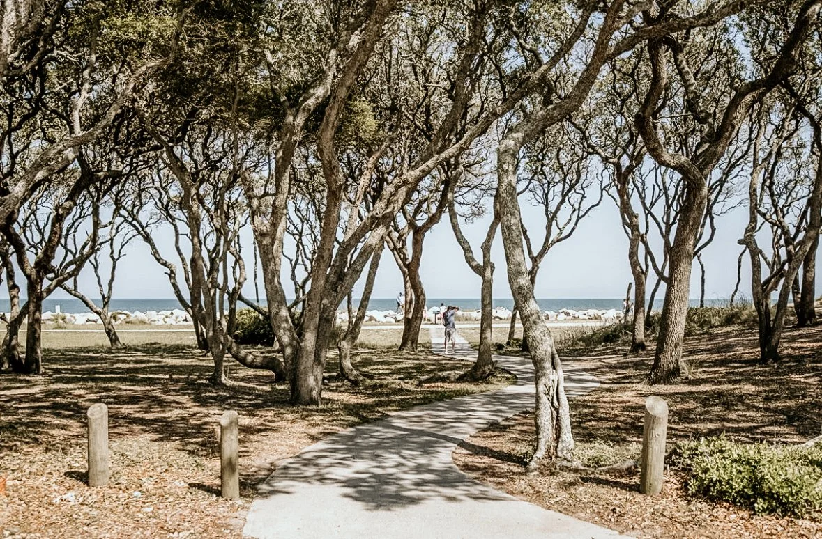 A beach view framed by twisted trees, with a walkway leading to the sandy shore and ocean beyond. A person is visible walking in the distance on the beach.