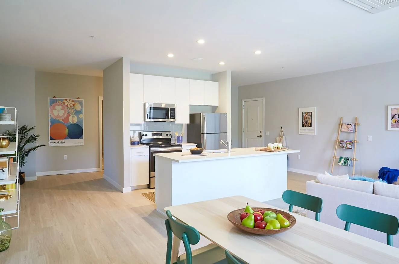 TYPICAL APARTMENT