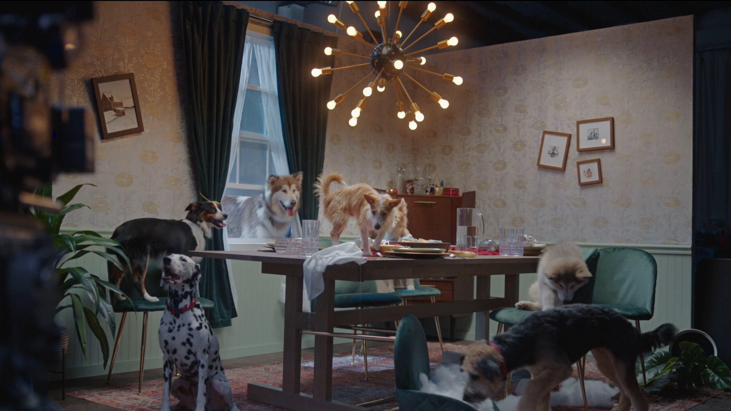 image-asset.webp