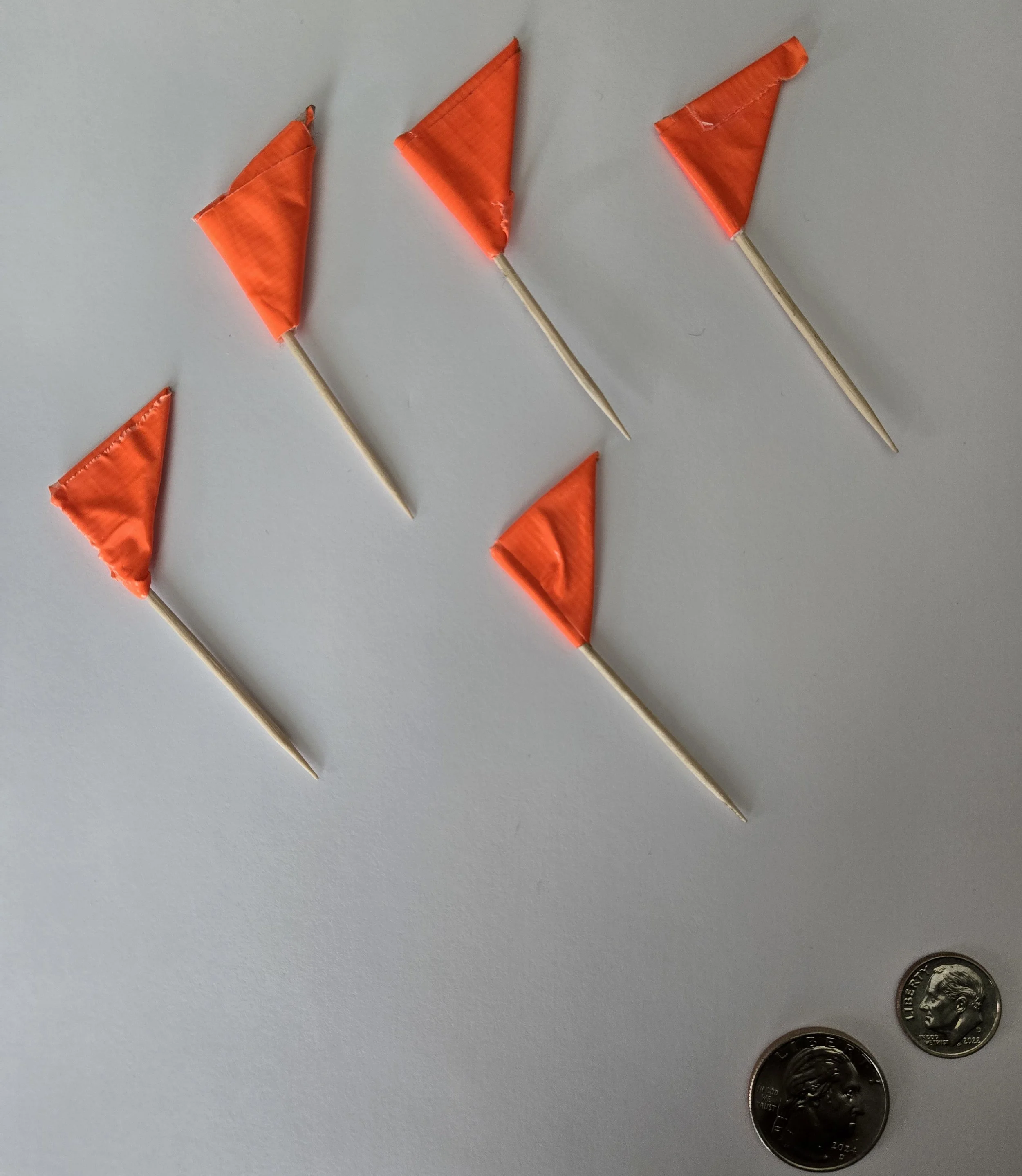 MN Orange 5.jpg
