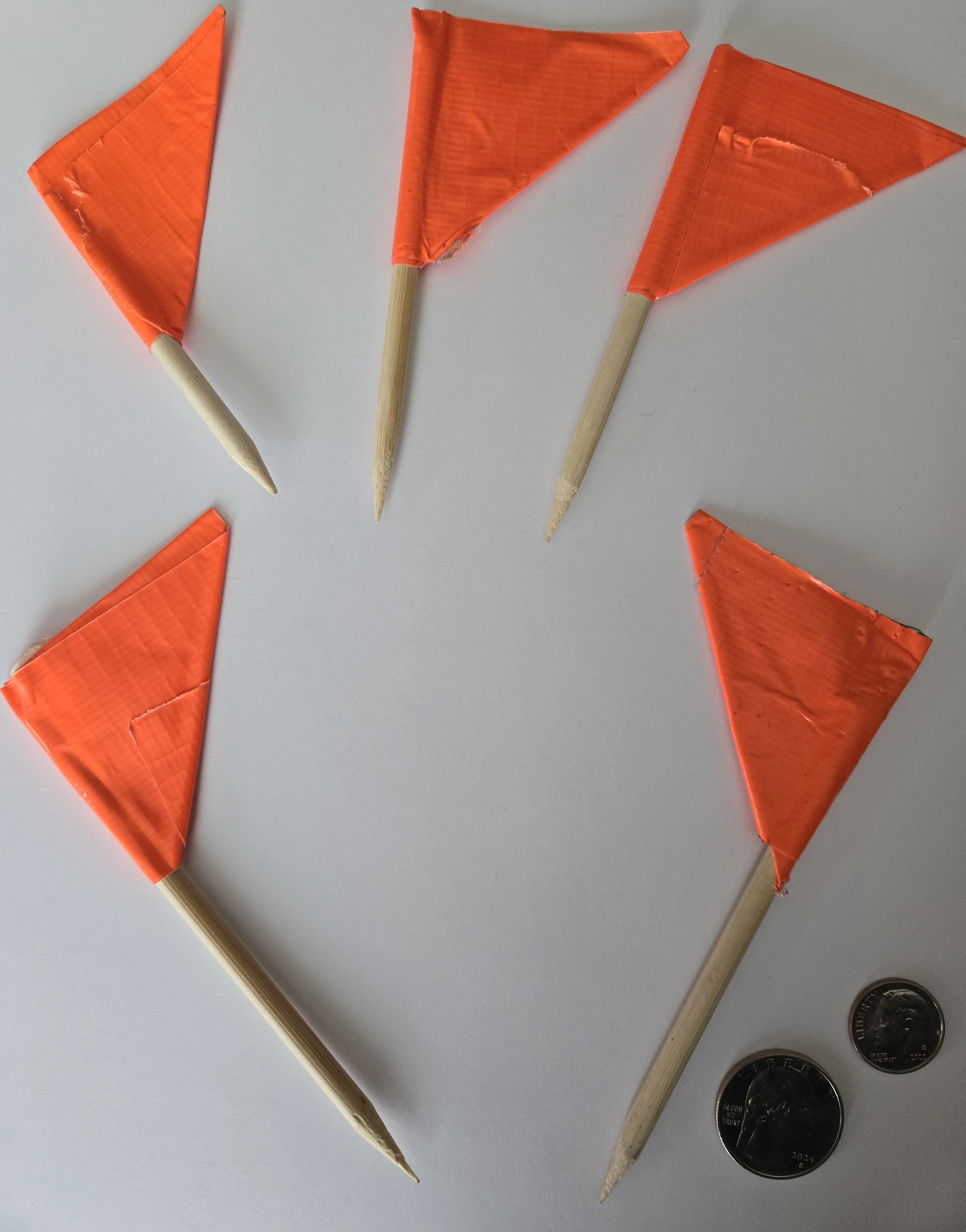 LG Orange 5.jpg