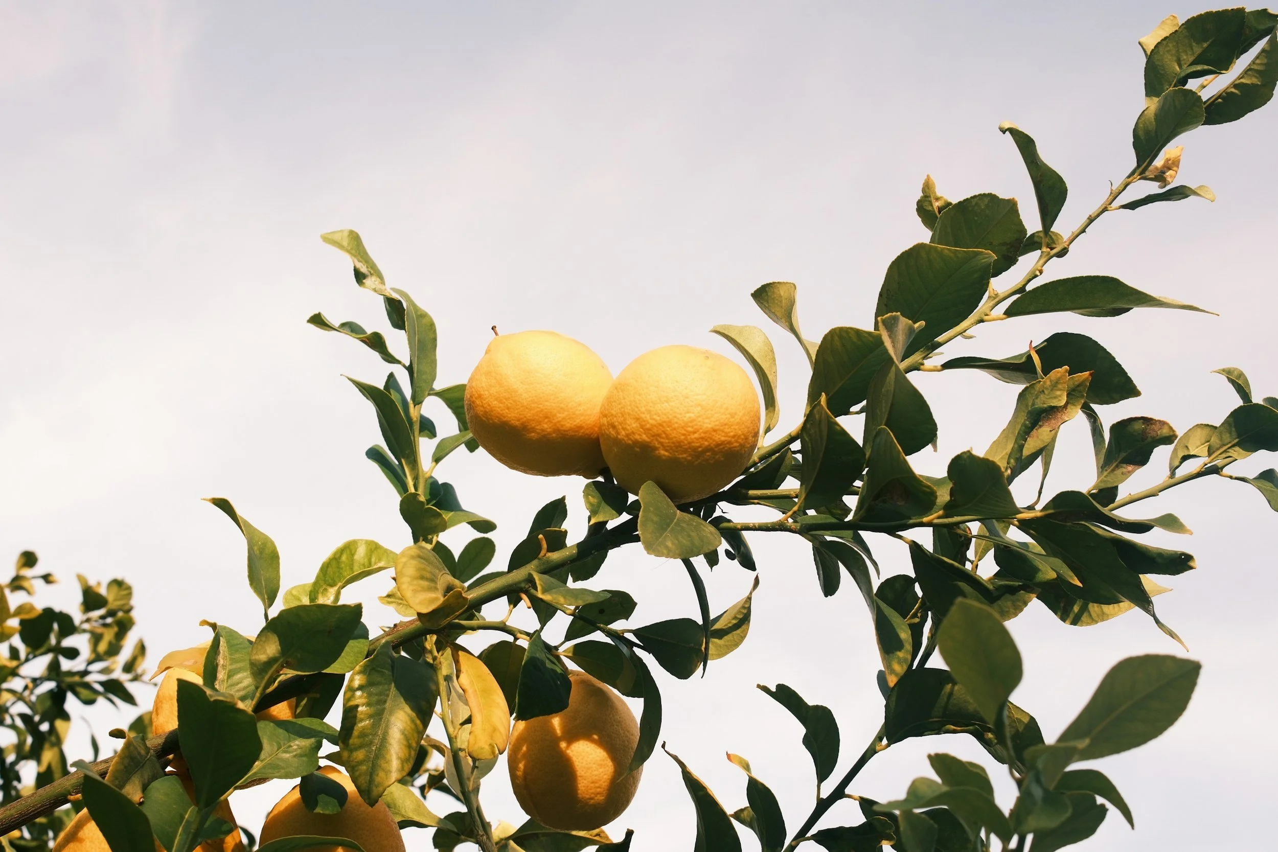 unsplash-image-HPW_Hjzw6ZA.jpg