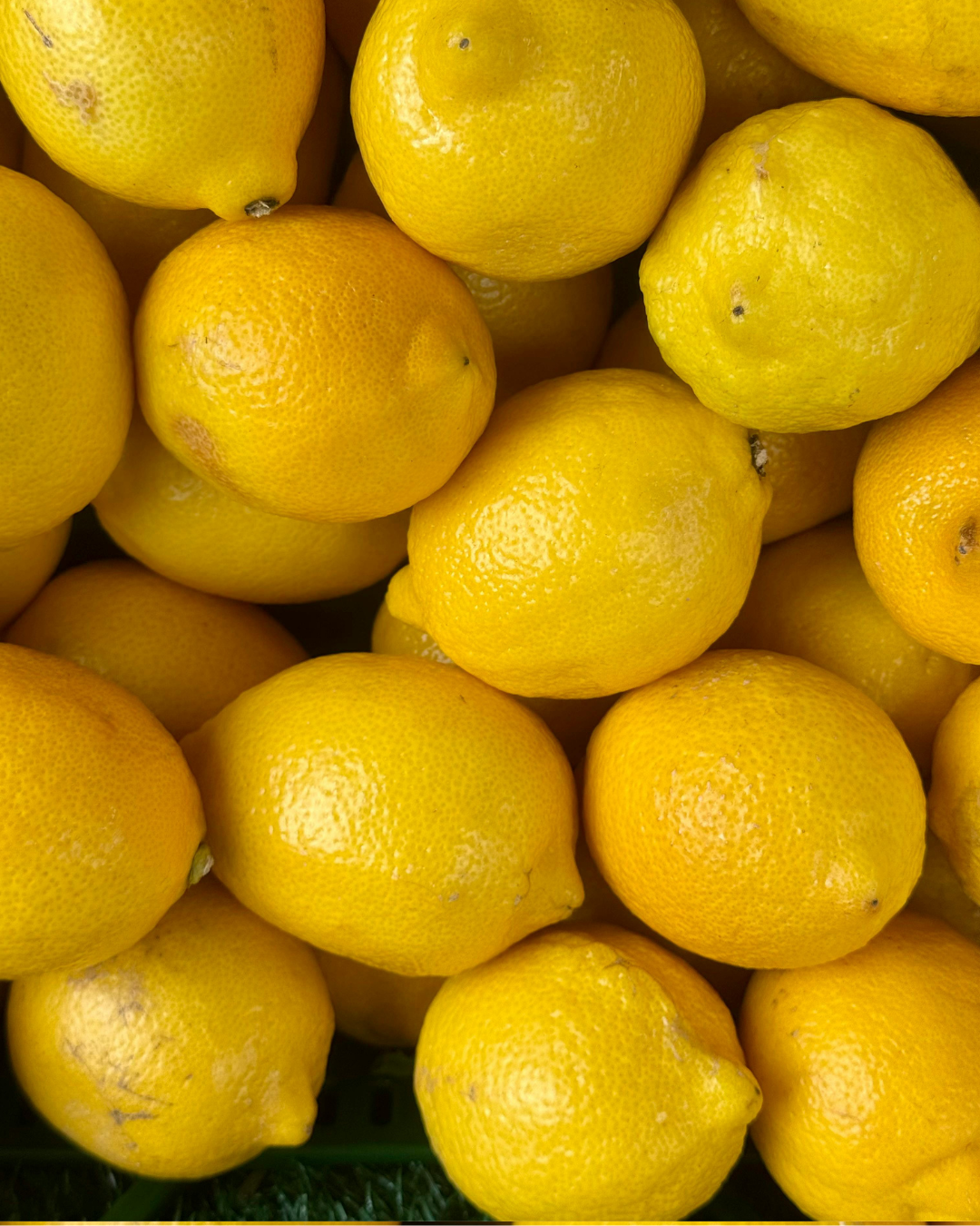 Organic Lemonade 101  •  Sat, May 9