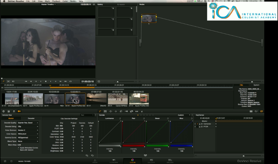 Resolve 9: Which codecs do I have?