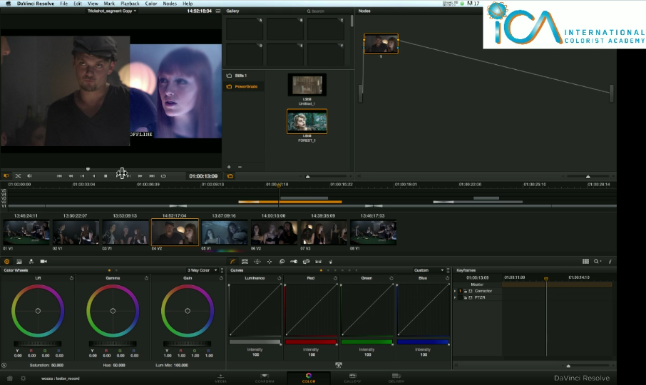 Resolve 9: Using an offline movie