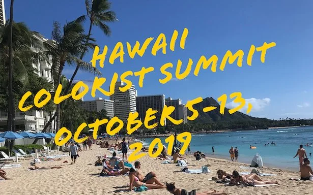 ICA Hawaii Colorist Summit 2019