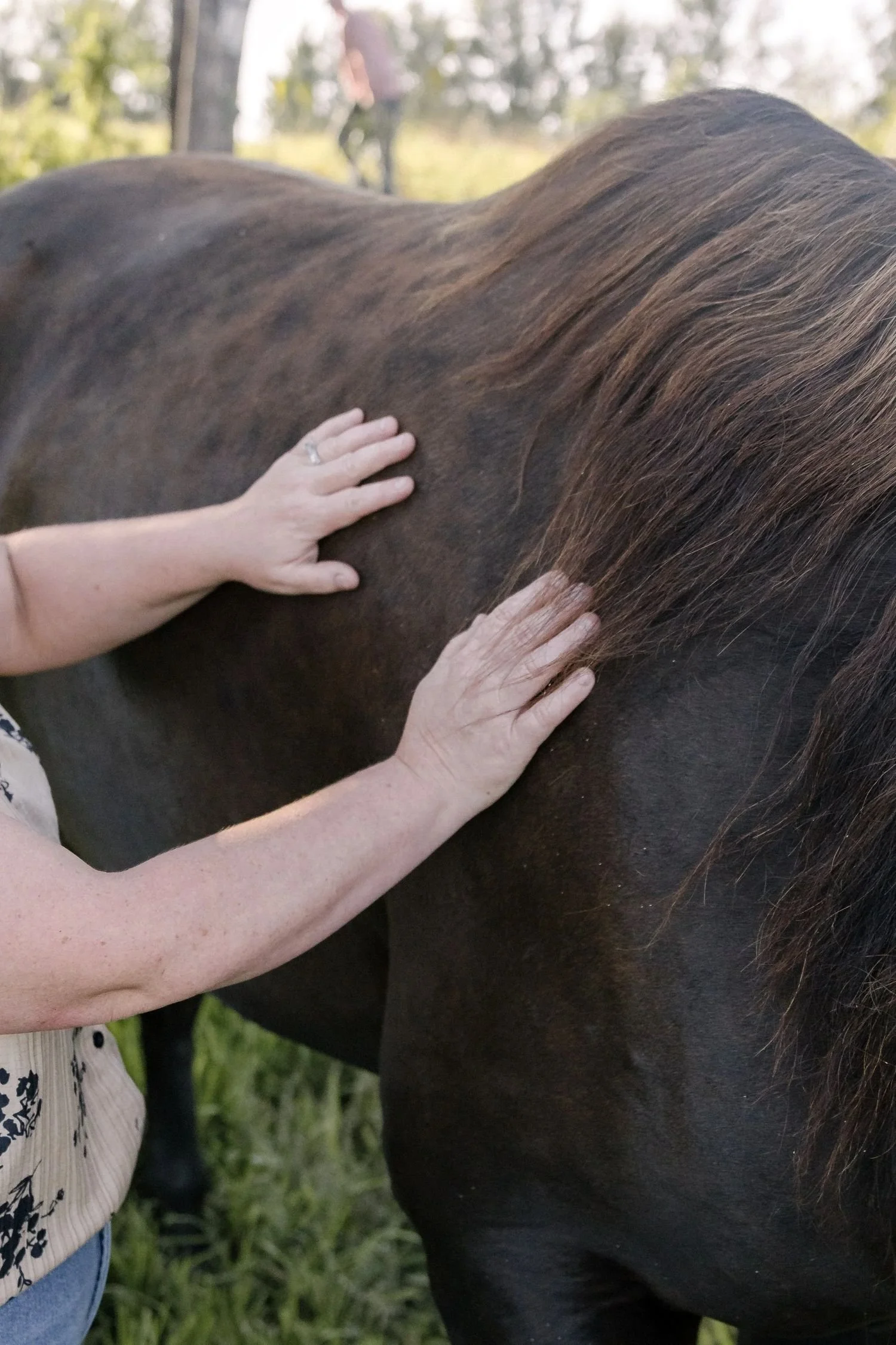 Client connecting with a horse during a horse medicine session at Hoofstone Acres.