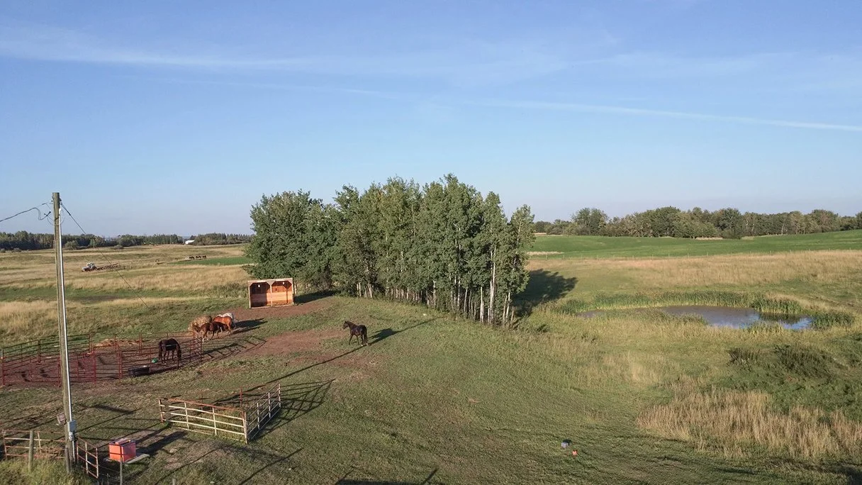 Natural grounds at Hoofstone Acres and Treestone Massage, offering intuitive massage therapy and horse medicine near Alberta Beach.