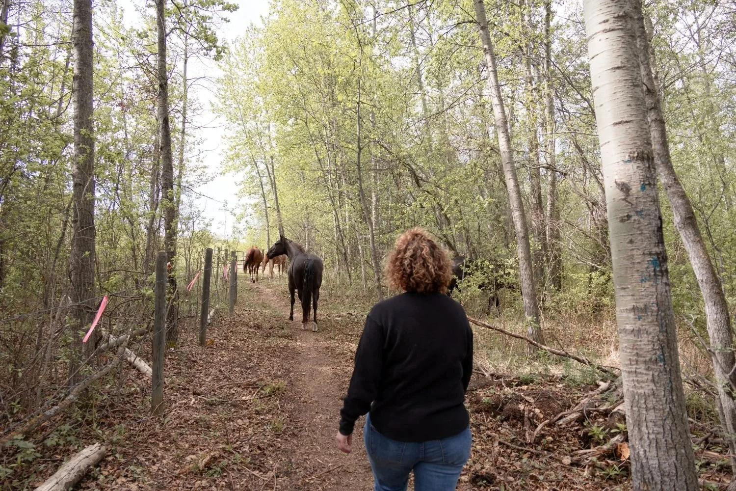 Janet Langevin walking through nature trails during a private nervous system healing retreat in Alberta, Canada.
