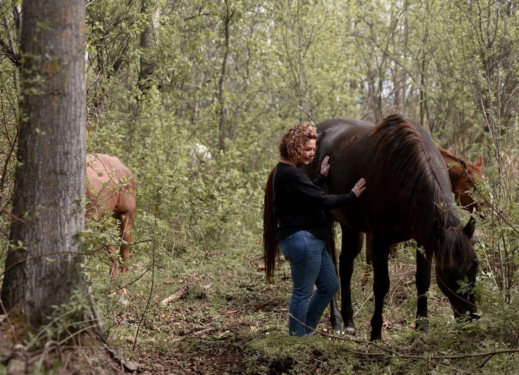 Janet Langevin and Hoofstone Acres offering intuitive horse connection work and horse guided healing in a wooded setting near Edmonton, Alberta.