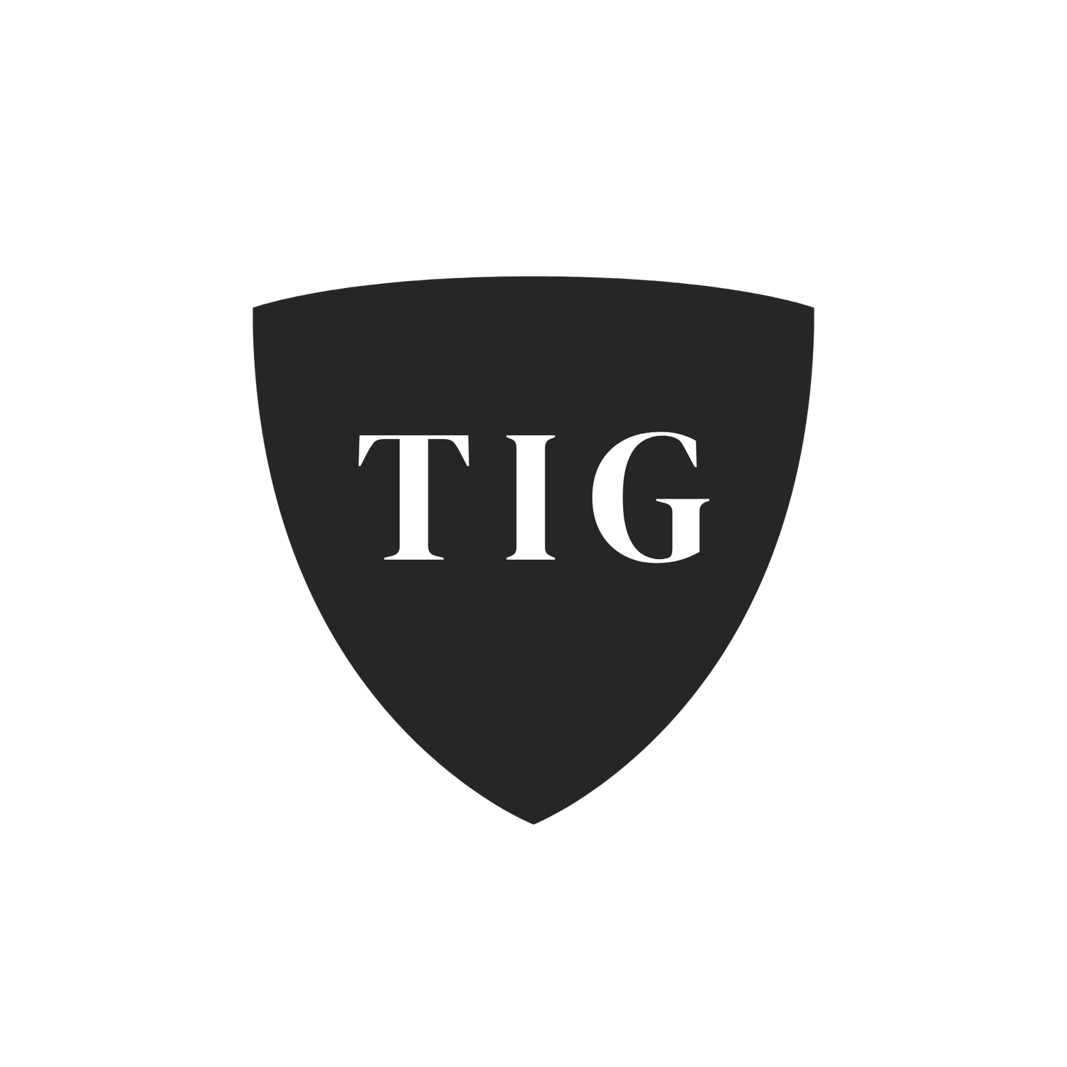 TransAmerica Investment Group, Inc.