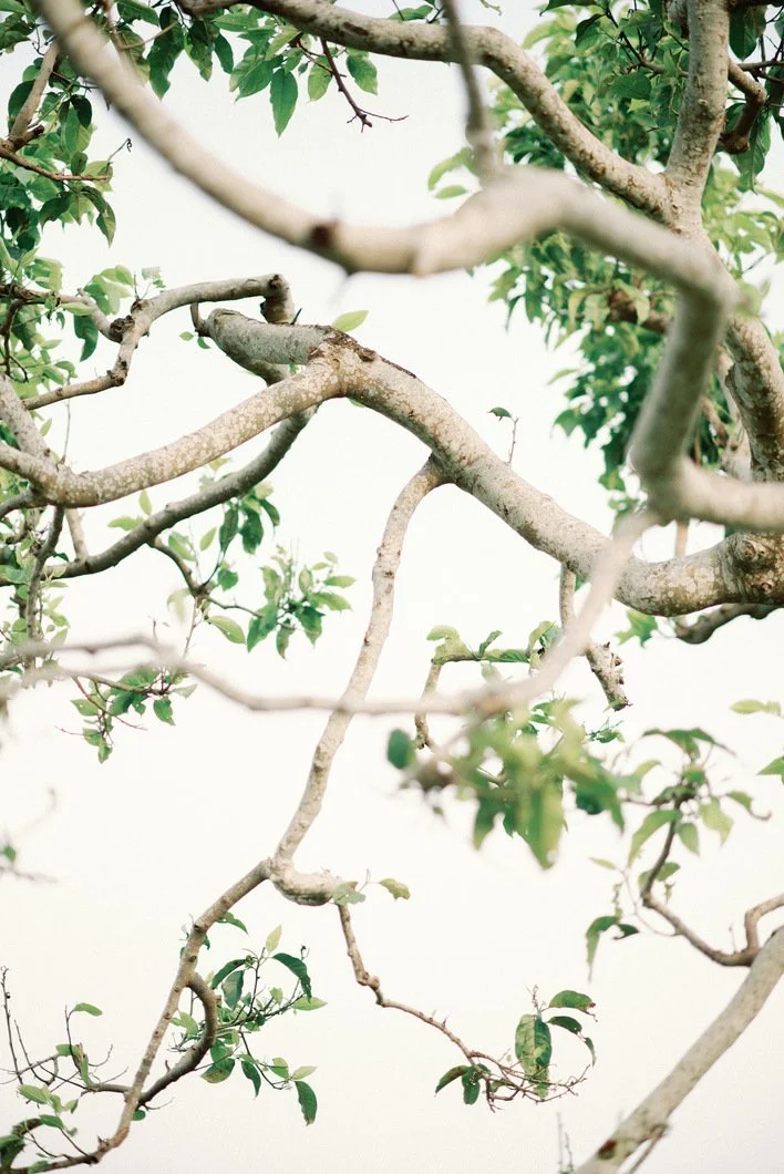 styled-shoot-saikung-laughterandtear-lafrenchtouchphotography-79-copy-0.jpg