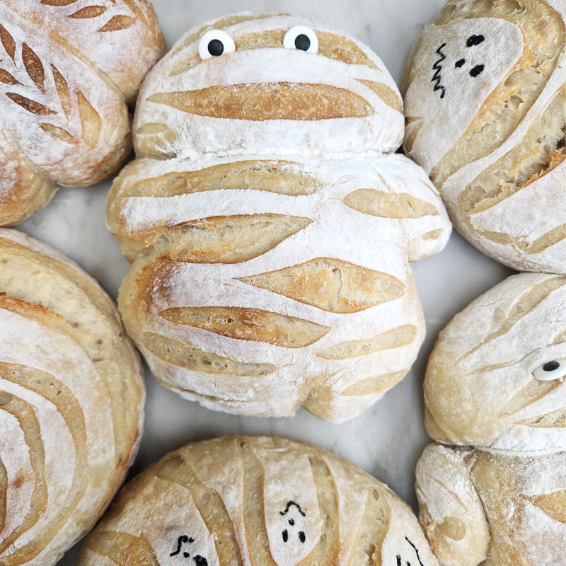 Halloween-sourdough-mummie_sq.png