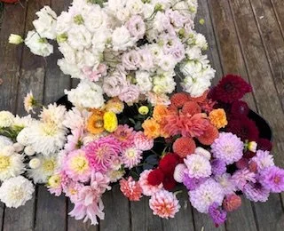 Cut flowers in buckets on a wooden deck