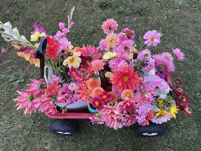 A red ryder wagon full of pink flower arrangements