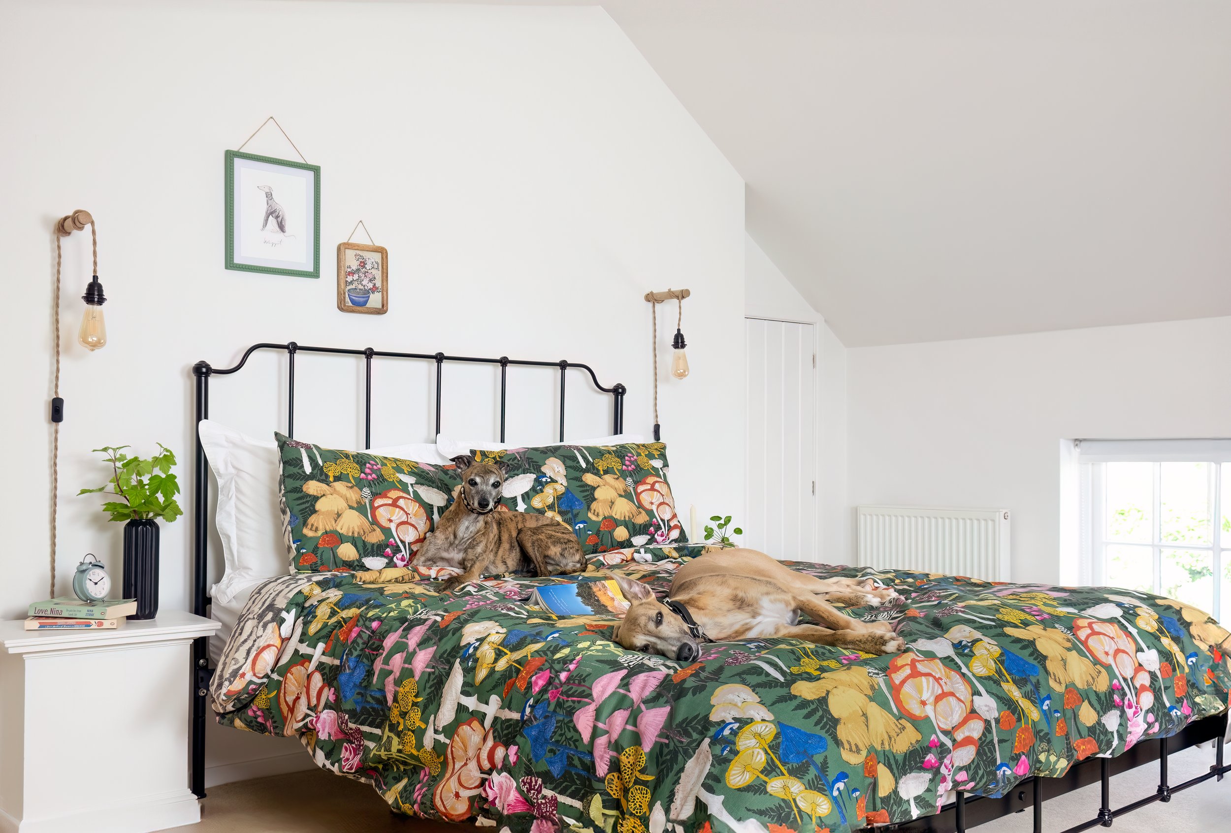15-dogs-on-bed-flat.jpg
