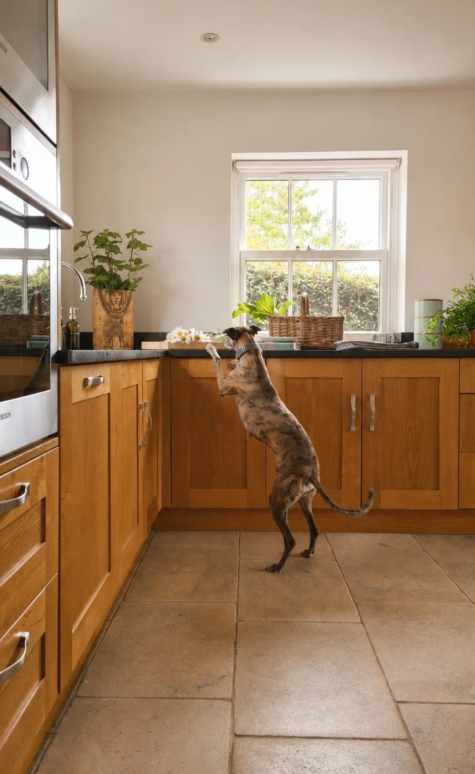 Kitchen - Copy.jpg