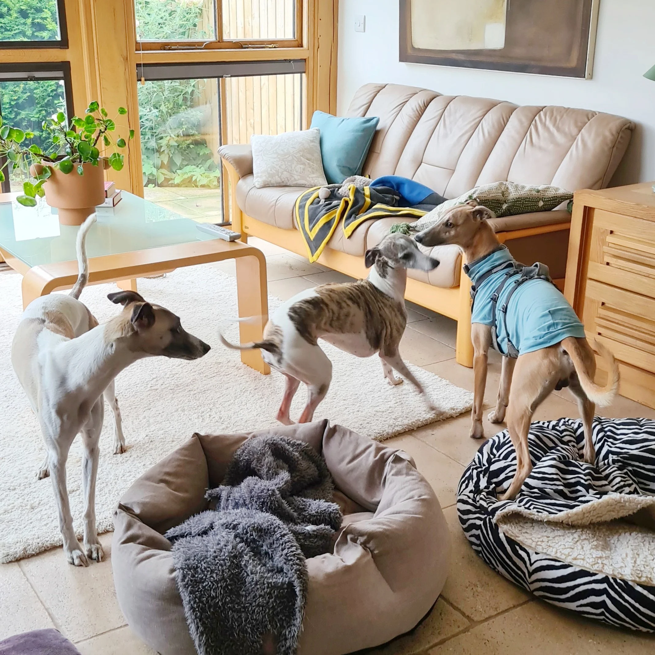 In the cottage.jpg