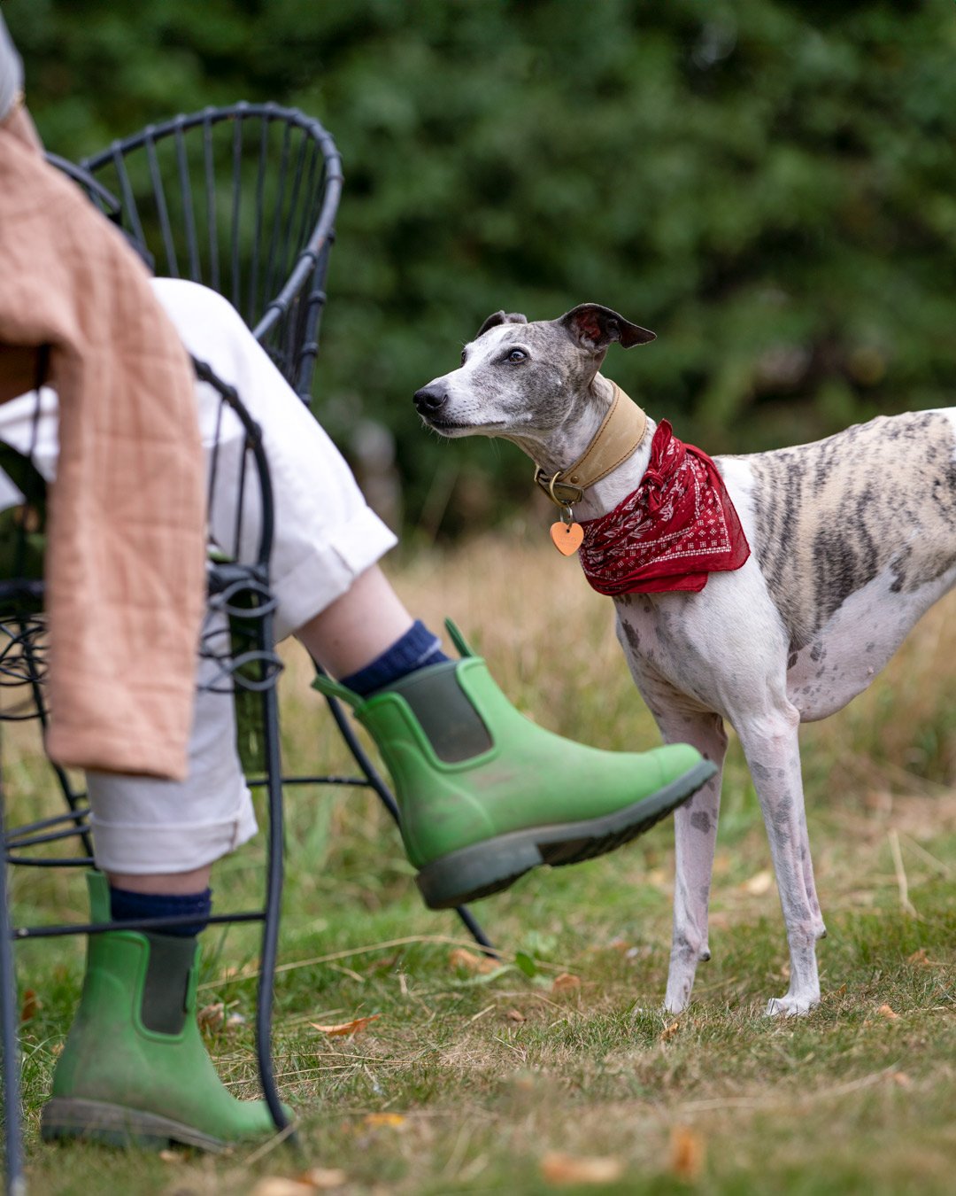 83-Redhound.jpg