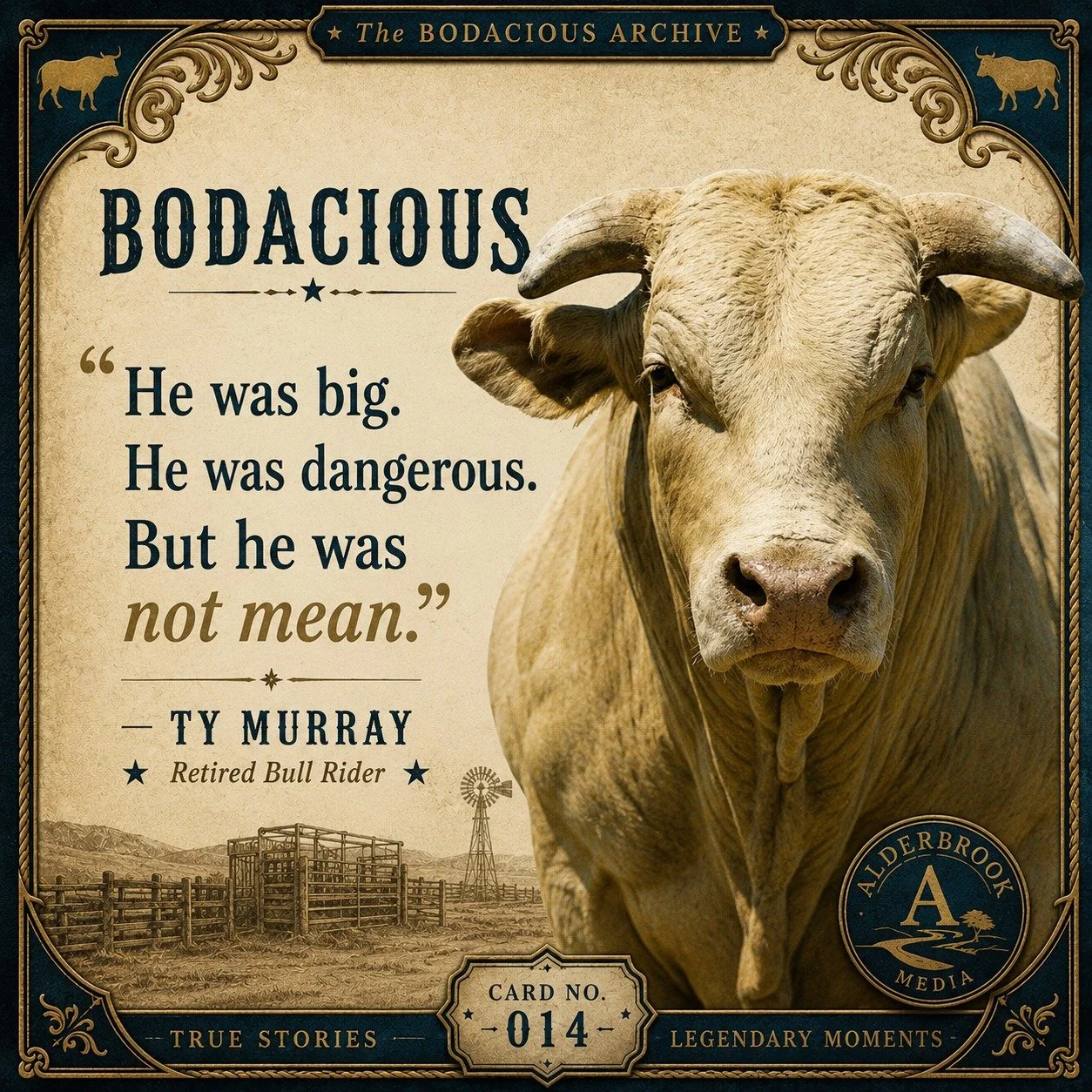 🔥 BODACIOUS

One of the biggest surprises while researching Bodacious has been how often I hear the same thing.

People who actually worked with him... hauled him... bucked him... and climbed on his back... rarely describe him as "mean."

