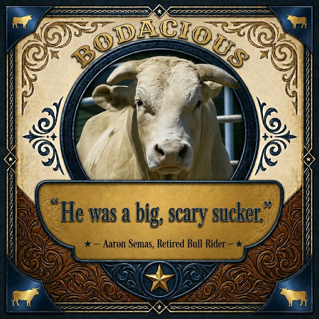 🔥 BODACIOUS

&ldquo;He was a big, scary sucker.&rdquo;
⭐ Aaron Semas, retired bull rider ⭐

Now, that quote carries a little more weight when you know who said it.

Aaron Semas spent years climbing on the rankest bulls in professional rodeo. 

He su