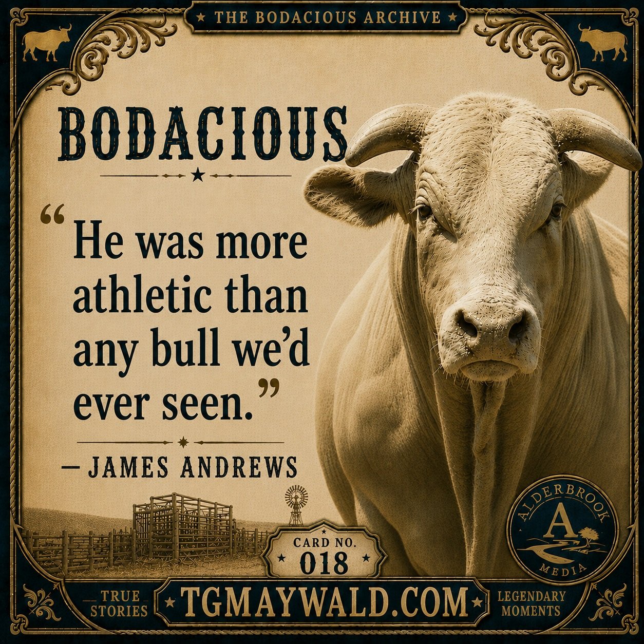 🔥 BODACIOUS

Most people remember Bodacious for his size.

James Andrews remembers his athleticism.

"He was more athletic than any bull we'd ever seen."

That's a remarkable statement coming from someone who spent his life around bucking 