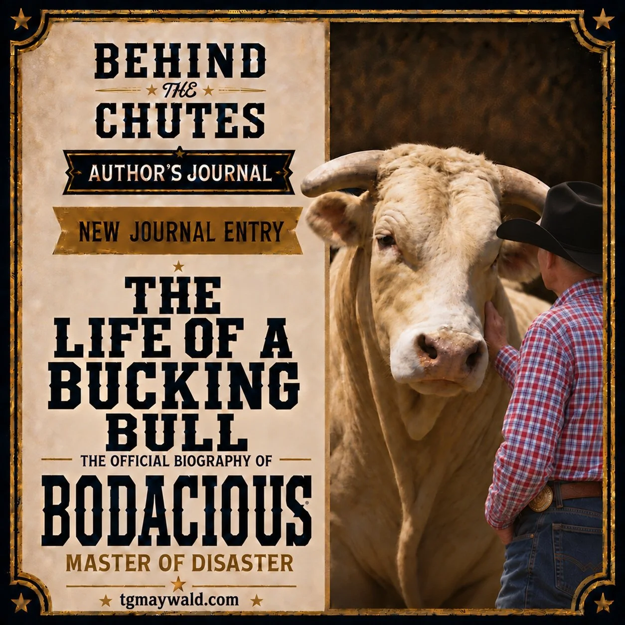 🔥BODACIOUS

The public sees eight seconds.

What we rarely see is the life of the bull before the gate opens and after he disappears behind it.

While writing "Bodacious: Master of Disaster," I expected to learn about wrecks, championships