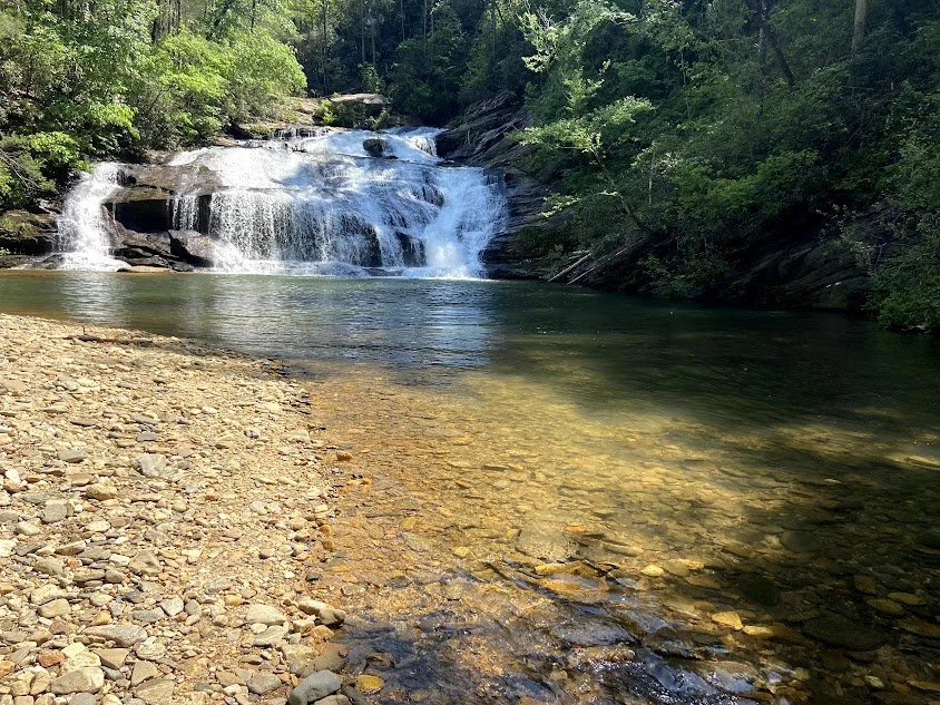 A serene river with a small waterfall flowing over rocks, surrounded by lush green trees in a forest setting.