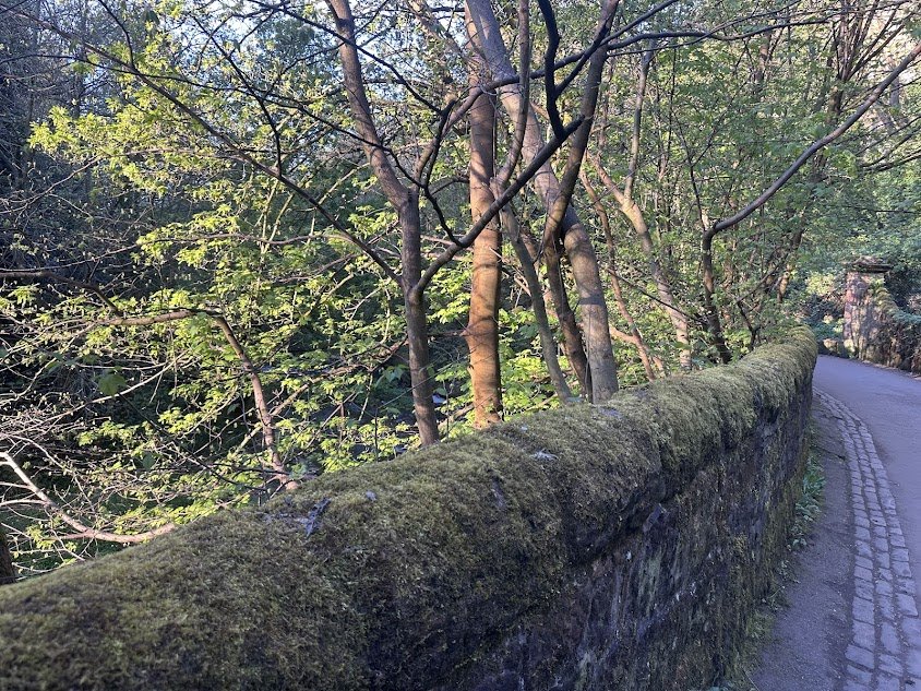 A moss-covered stone wall along a narrow, curved road with trees and green foliage in the background.