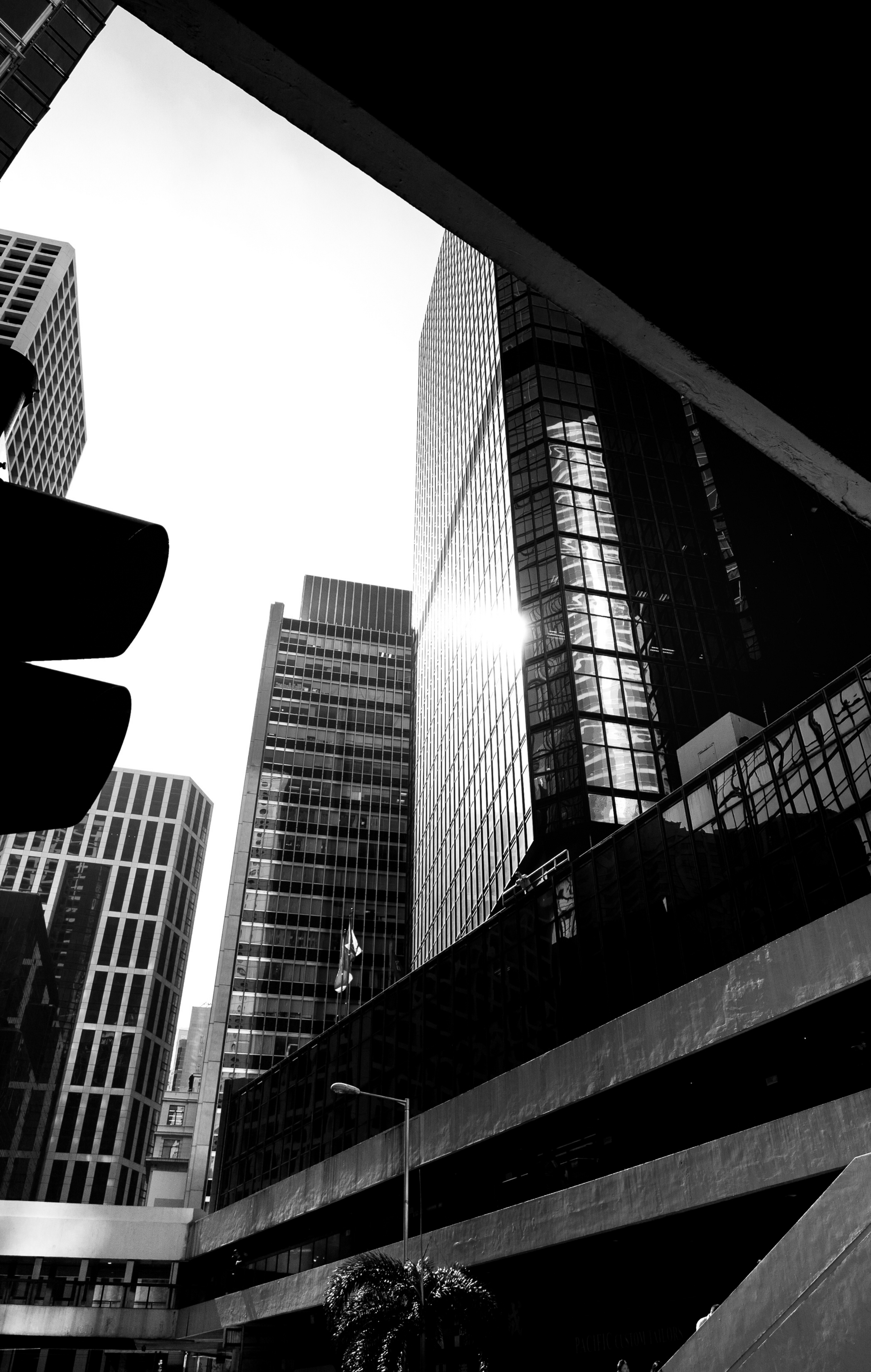 Black and white photograph of modern city skyscrapers seen from street level, with glass and steel buildings reflecting sunlight, and a traffic light in the foreground.