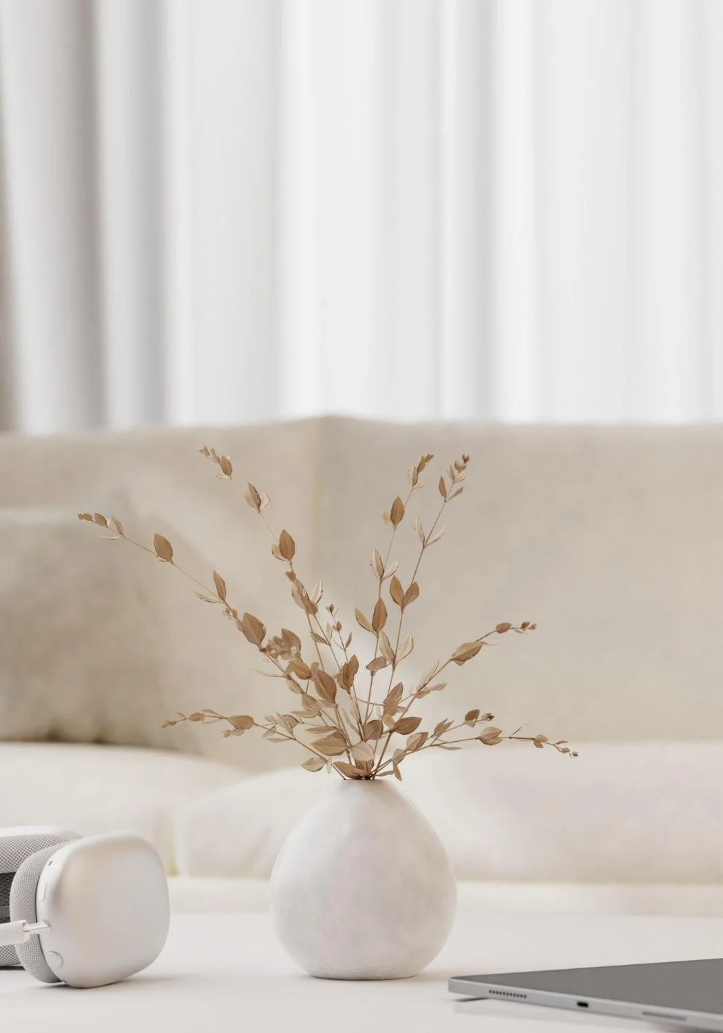 Plant next to laptop and headphones, couch behind.
