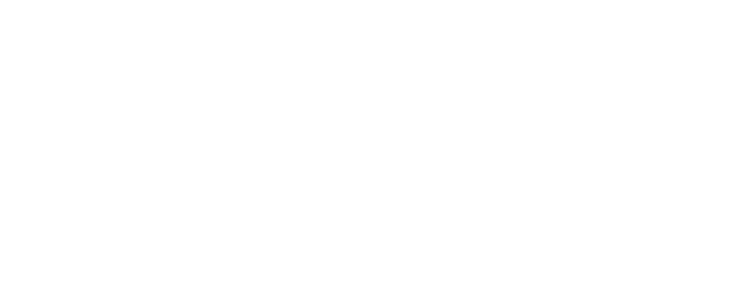 Bold text says '2024' with a horizontal line beneath it. Below the line, the word 'STRONG' appears in large, bold letters.