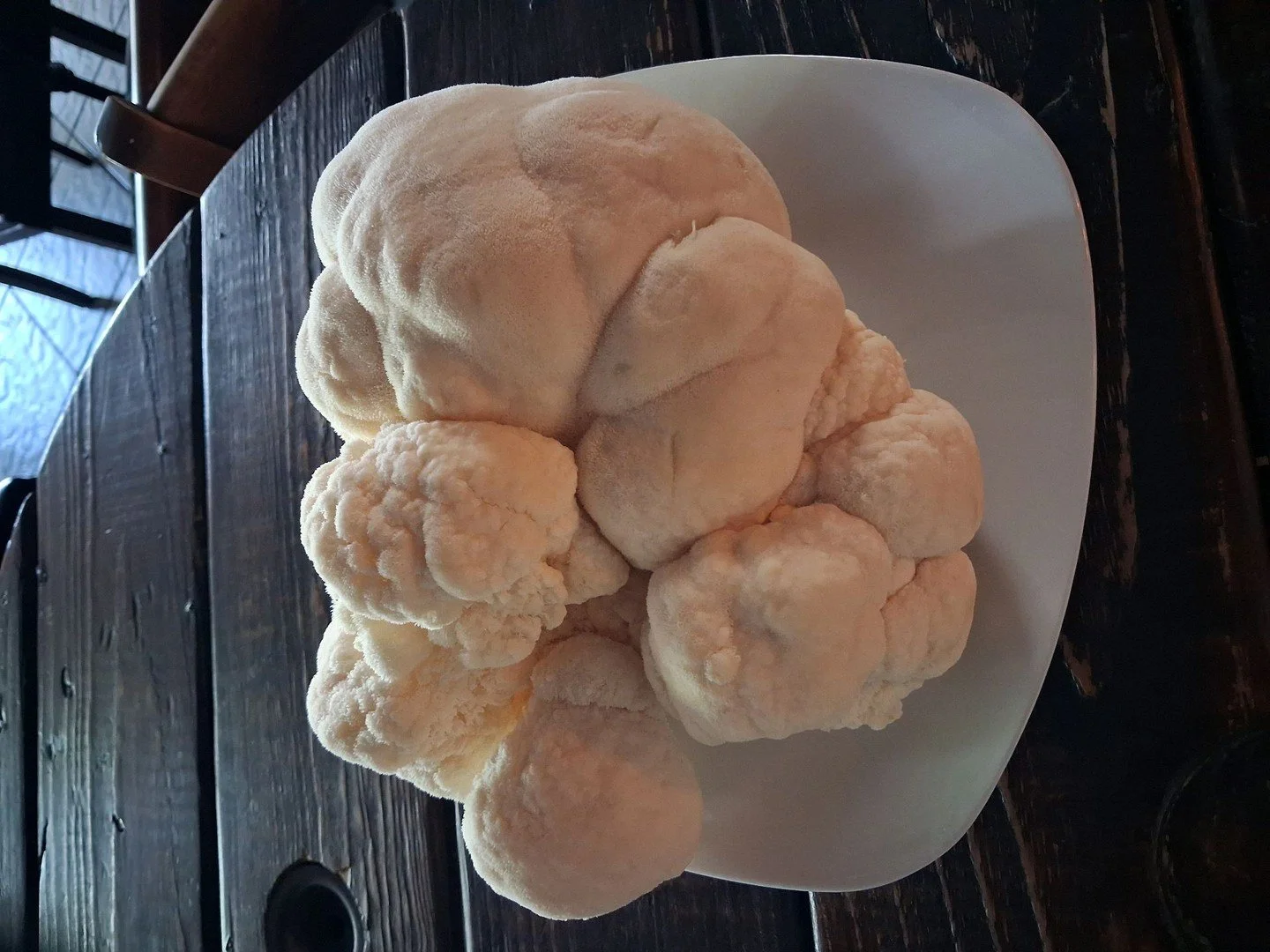 Dream Big Farm's Lion's Mane on the menu. Come try it out with Garlic Lemon White wine butter on a crispy Romano polenta cake!
#blindmule #wnc #knowwhatyoureating #Brevard #heartofbrevard