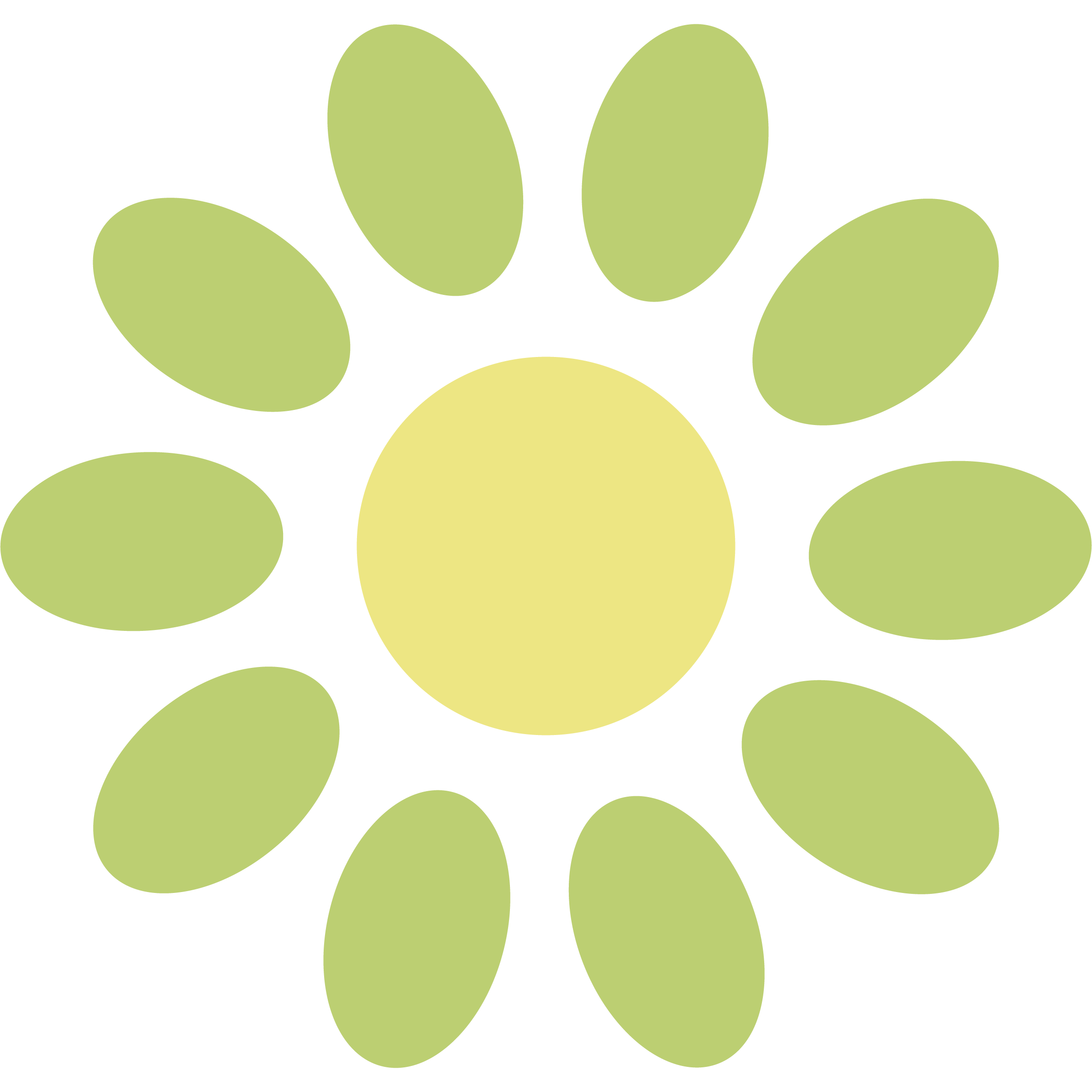 Illustration of a dog paw print with six rounded pads in shades of light green and yellow.