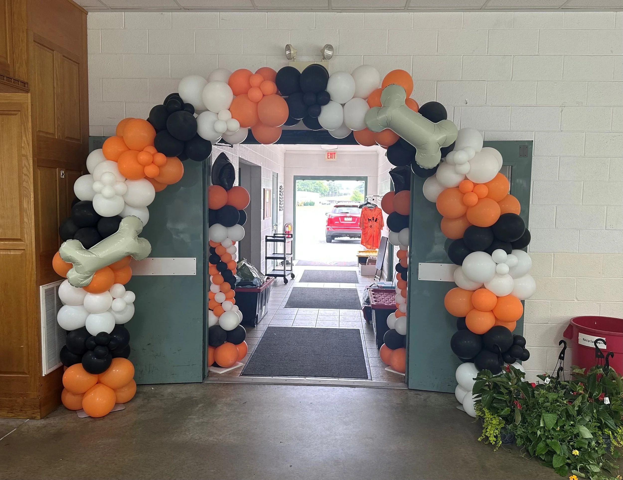 Orange Black White Arch.jpg