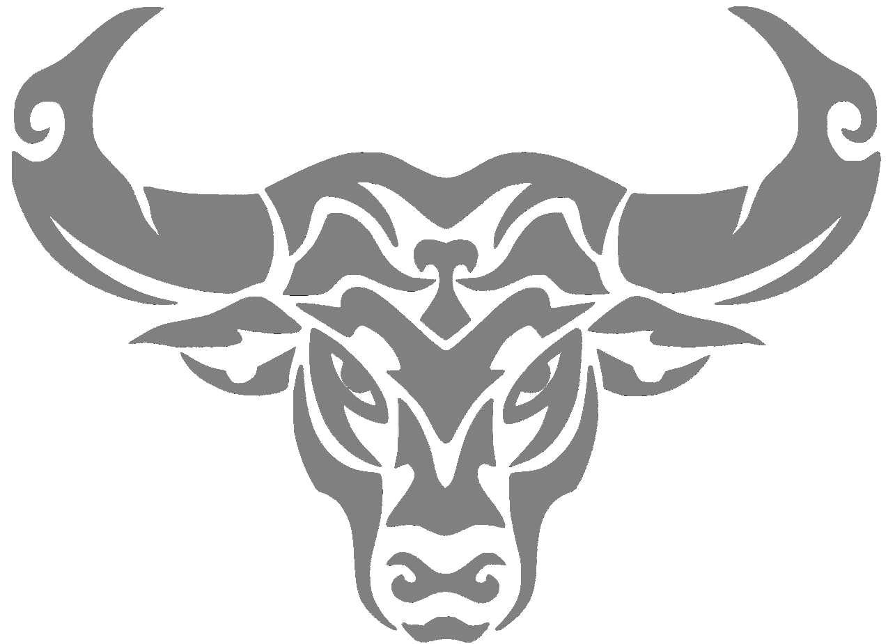 Texas Toros Baseabll