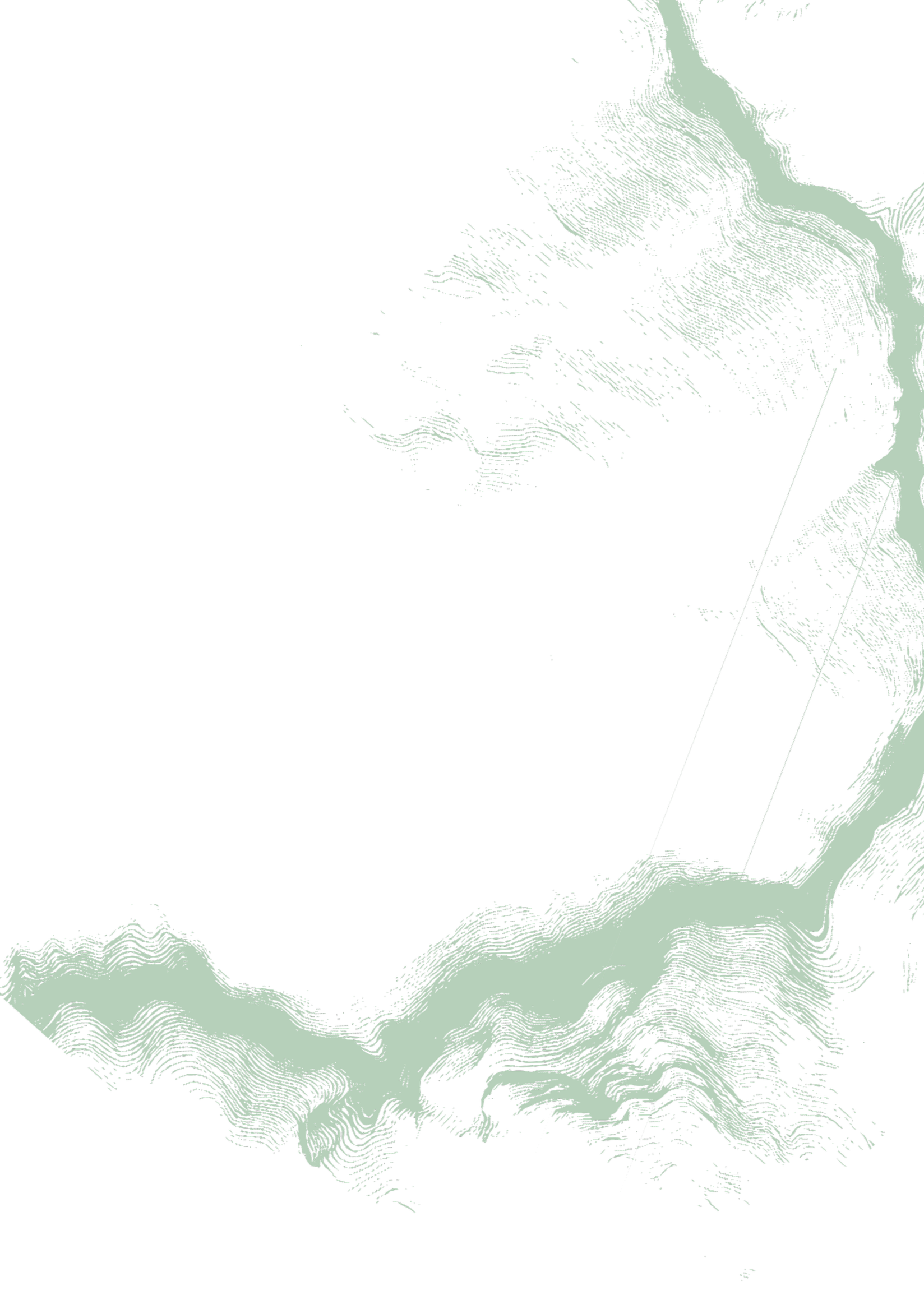 A digital artwork featuring a topographic map-like depiction with contour lines on a black background and light green accents.