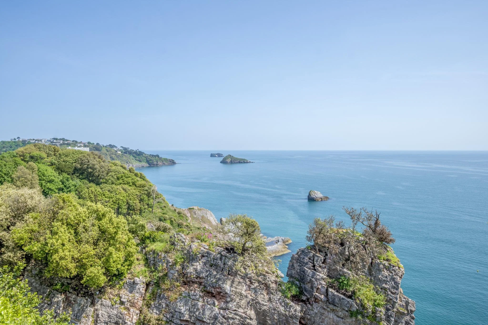 A scenic view of a coastline with lush green trees and rocky cliffs in the foreground, and a calm ocean with small islands in the background under a clear blue sky.