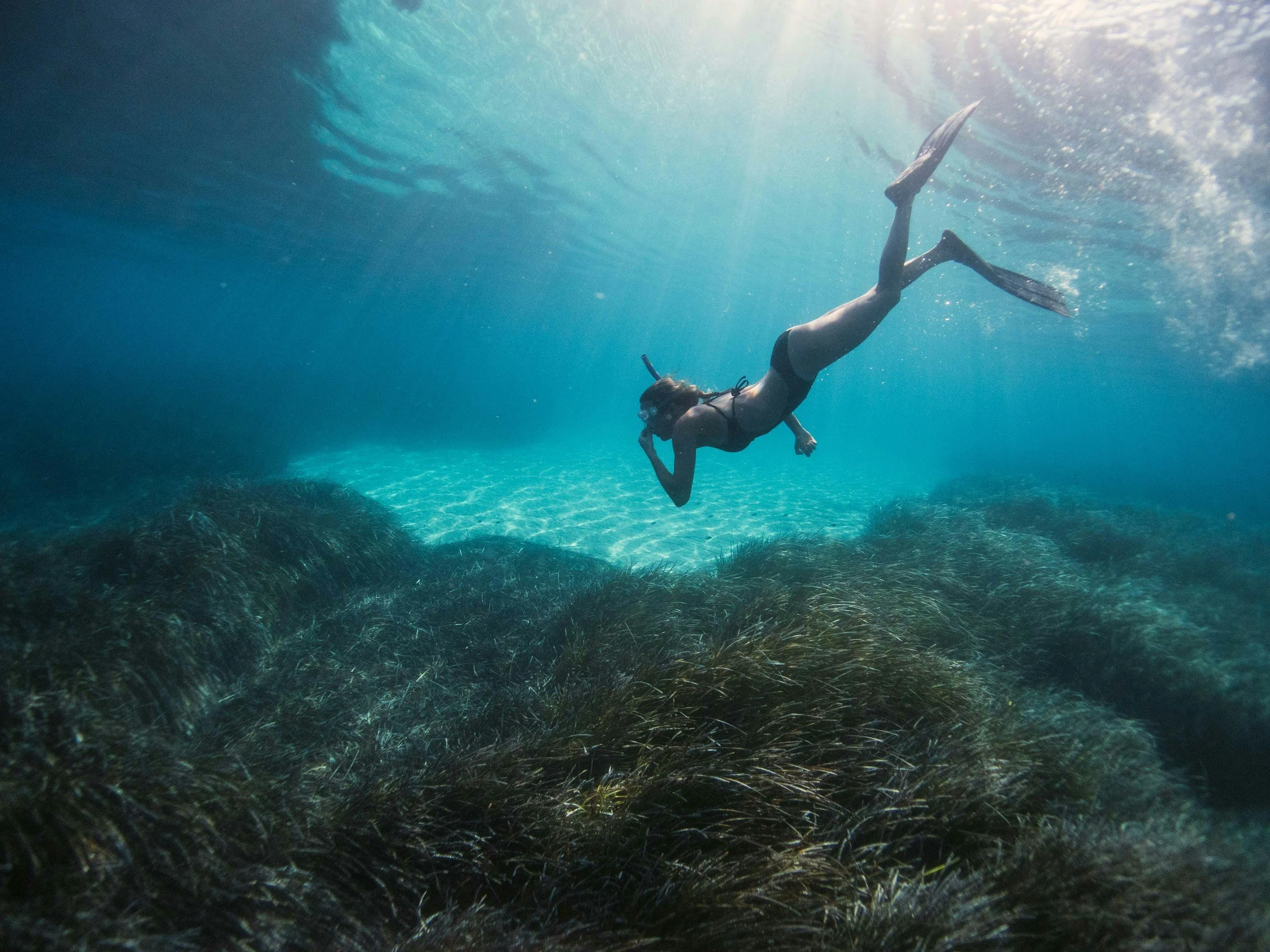 A person swimming underwater wearing a black swimsuit, goggles, and snorkel, surrounded by aquatic plants and sunlight filtering through the water.