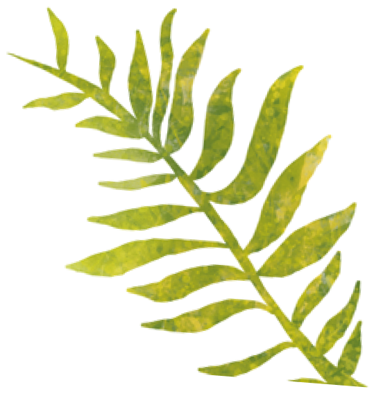 Green leafy plant with elongated leaves.