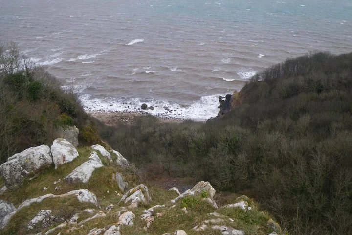 View of a coastal landscape with rocky cliffs, bushes, and ocean waves under a cloudy sky.