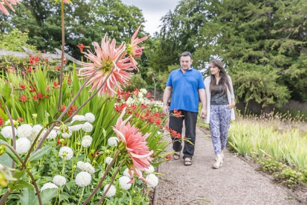 A man and a woman walking hand in hand along a garden path with colorful flowers, trees, and greenery surrounding them.